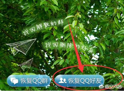 QQ的“好友恢复”功能在哪里可以找到？：qq好友恢复官网
