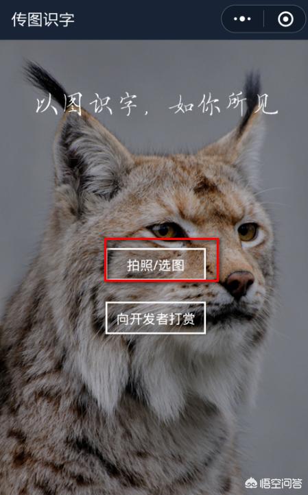 [字体识别软件]什么软件可以识别字体？