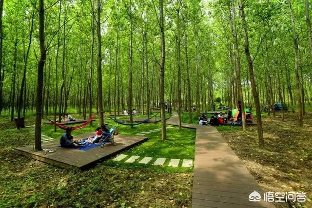 合肥哪里好玩？