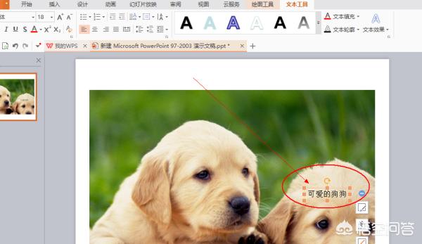 怎么用ppt在图片上加入文字