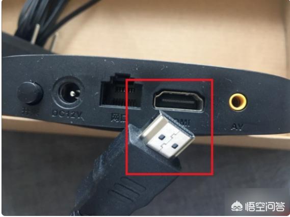 cc猫（ccfc名猫协会？）