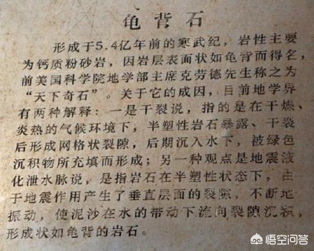 骆驼失控将游客摔下来_鸣沙山骑骆驼典故？