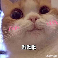 中考英语怎么说(初中英语老师要求英语过几级)