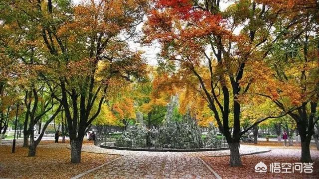 济南必去几个景点免费(图38)