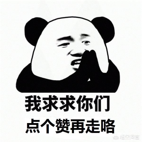 中超直播在哪看（中超哪里看直播？）