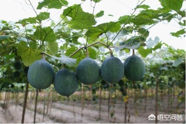 变压器密封用的橡胶密封制品一般都用哪些原材料呢？