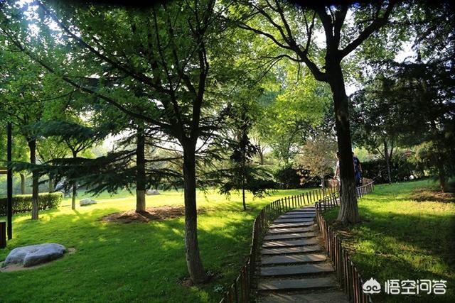 鼻窦炎需要怎么治疗(图3)