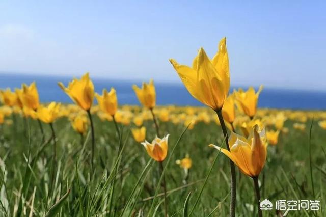 国内必去10大景点拍照(图8)