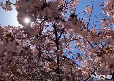 云南丽江经典景点必去(图2)