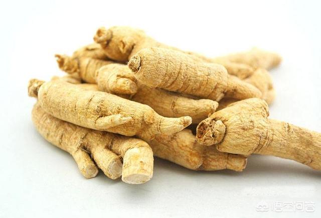 花旗参的功效与作用及食用方法-美国花旗参的功效与作用及食用方法