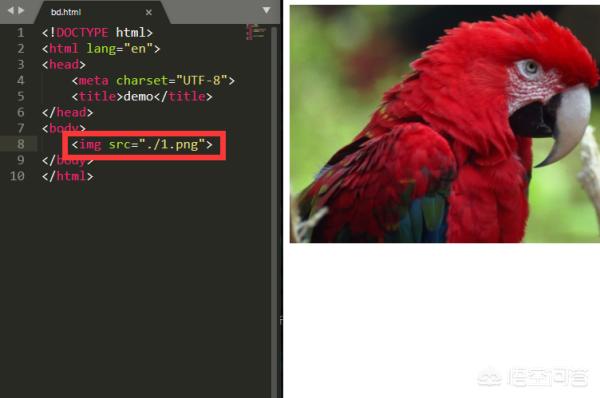 怎么在html内添加图片？在html文件中怎么插入图像？