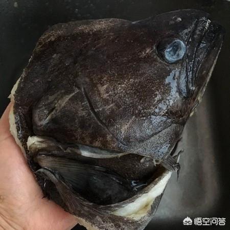 碟鱼头的做法（碟鱼头正宗做法？）