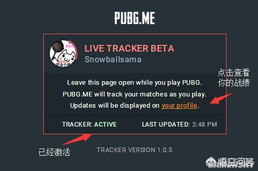 绝地求生战绩查询 绝地求生战绩查询app-第2张图片-随然AIR主题