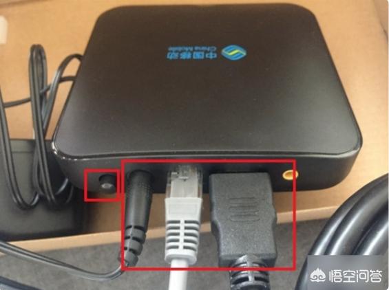 cc猫（ccfc名猫协会？）