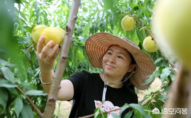 开小工厂项目(想在农村开厂子，但是不知道做什么好，大家给个建议？)