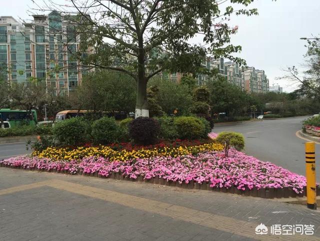 去深圳打工怎么样？