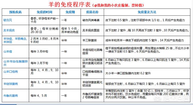 农村家庭养殖-农村家庭养殖什么最挣钱