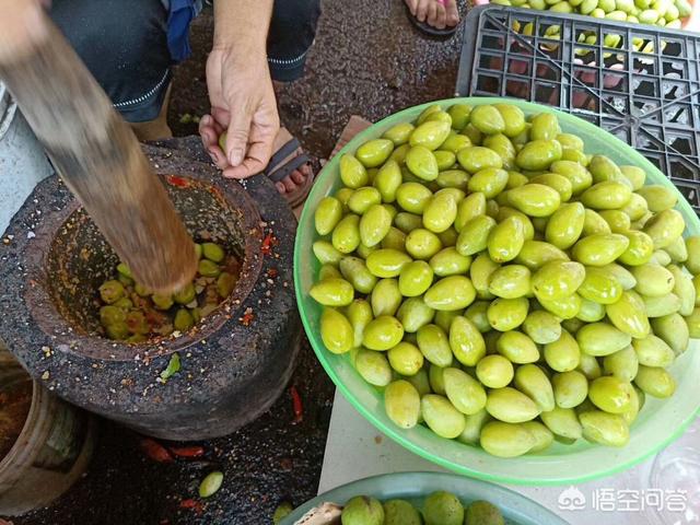 南方种植果园图片大全高清,南方种植果园图片大全高清图