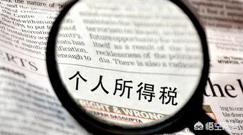 中国税务网推出新功能，助力个人纳税者快捷申报，税务申报如何网上申报个人所得税