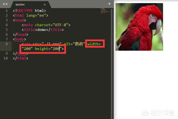 怎么在html内添加图片？在html文件中怎么插入图像？