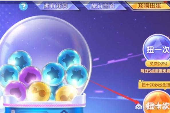 qq炫舞宠物 qq炫舞宠物参战怎么取消-第2张图片-随然AIR主题