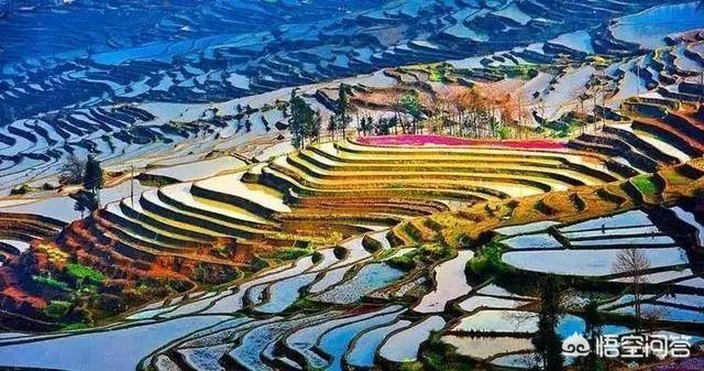 云南游必去的景点推荐(图20)