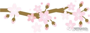 练习瑜伽上犬式和下犬式有什么好处,第4张