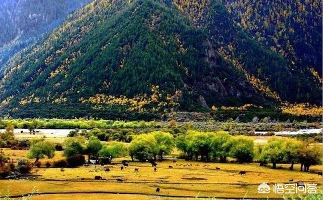 伊犁金秋旅游攻略路线， 伊犁金秋旅游攻略路线图