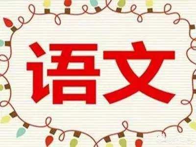 学生有补充医疗保险吗多少钱_大家觉得语文补了有用吗？孩子语文不好，不知道该不该给他补？