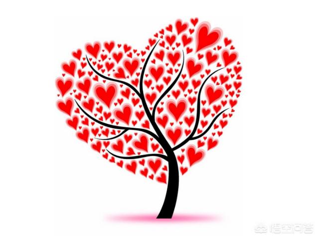 自闭症的孩子有哪些症状（高级自闭症的孩子有哪些症状）