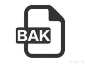 bak（BAK是什么文件？）