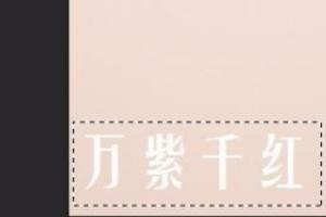 怎么去除水印？：水印怎么去