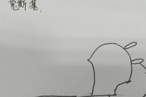 画一只公主小兔子 画画,画一只小兔子