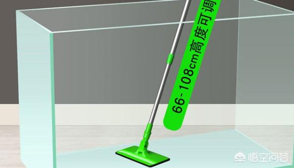 鱼缸里长青苔怎么清理,第1张