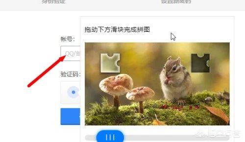申诉qq号（qq怎么申诉账号？）