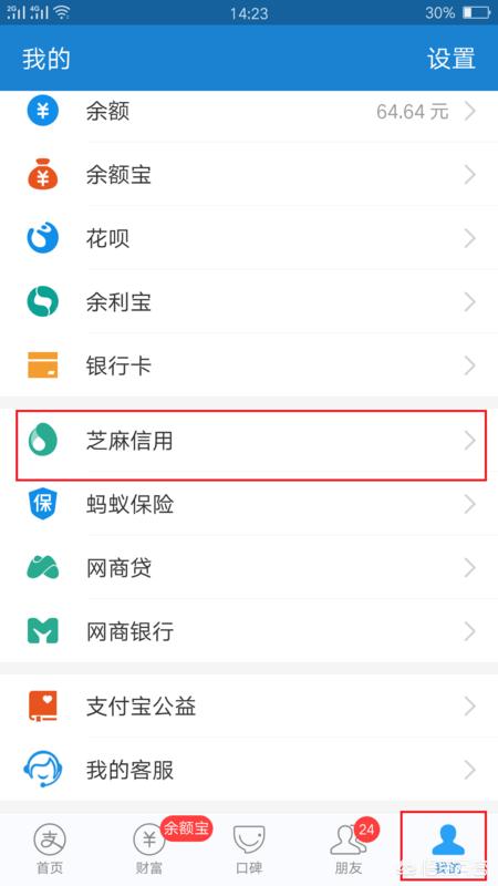 什么是芝麻分怎样查？：芝麻分怎么查