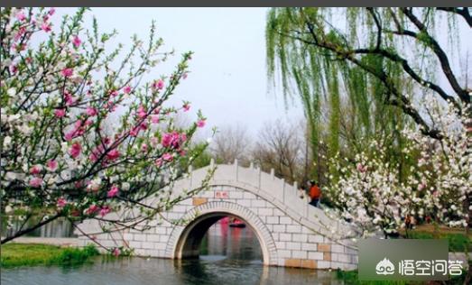 smartdeblur-smartdeblur下载