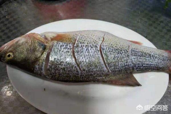 鲈鱼清蒸怎么做-鲈鱼清蒸怎么做几分钟