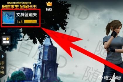 吃鸡怎么改名字 吃鸡怎么改名字和头像-第7张图片-春华游戏网