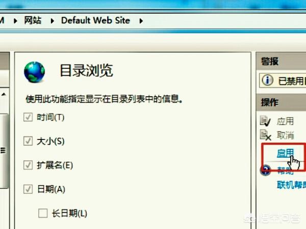 搭建网站显示403教程