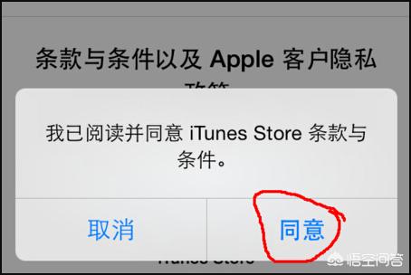 app开发工具中文