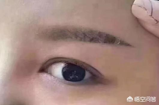 女子被鹦鹉啄光眉毛（黄鹂鸟外貌什么样？）