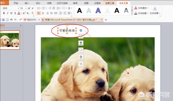 怎么用ppt在图片上加入文字