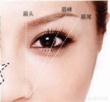 化妆眉形技巧图解
