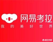 网上卖货网上卖货新手入门教程