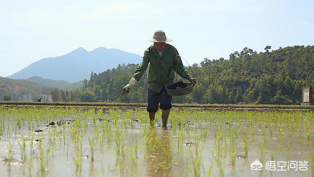 华雨农业养殖视频介绍大全，华雨农业养殖视频介绍大全集