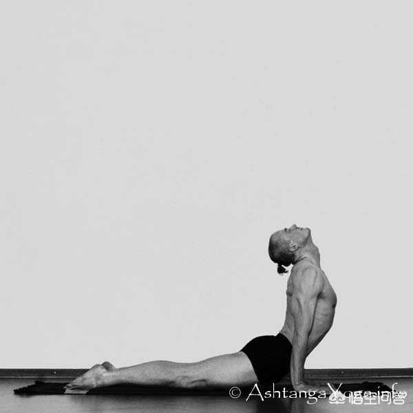 练习瑜伽上犬式和下犬式有什么好处,第3张