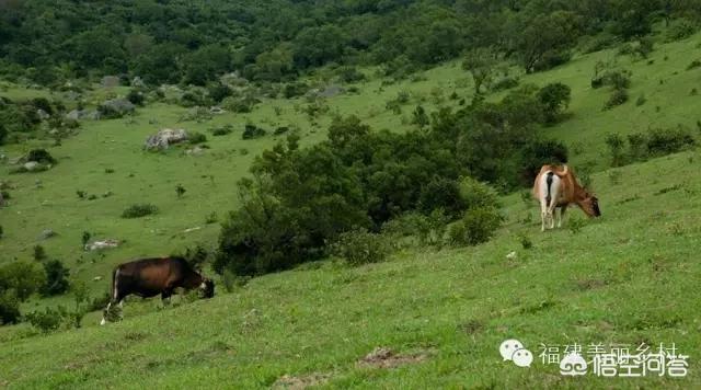 福清市南岭镇旅游景点大全， 福清市南岭镇旅游景点大全介绍