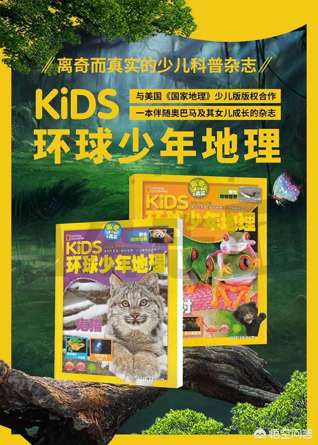 世界地理百科注册版 （世界地理百科注册版pdf）