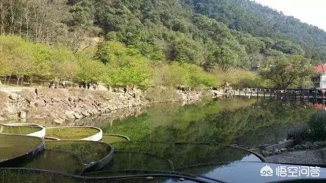 福州必去公园有哪些景点(图6)